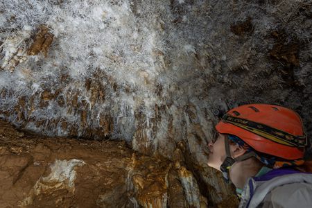 Cosa sono questi vermicelli