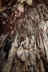 Liane in grotta