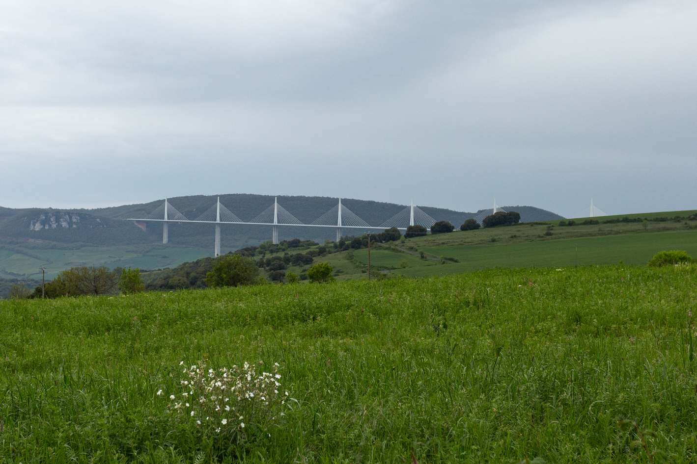 ponte  Millau