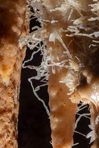 Contro la gravità